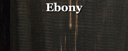 Ebony (Gabon)