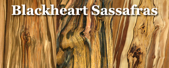 Sassafras (Blackheart)