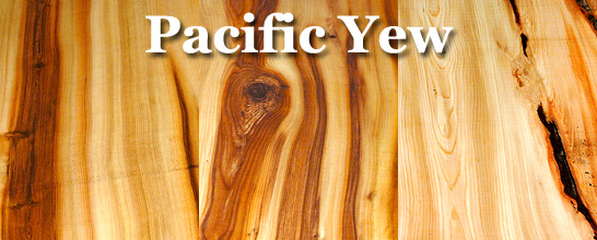 Yew (Pacific)