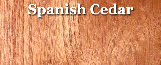 Cedar (Spanish)