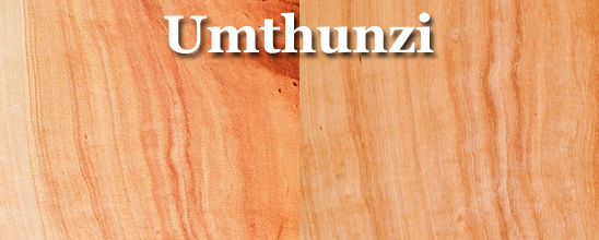 Umthunzi