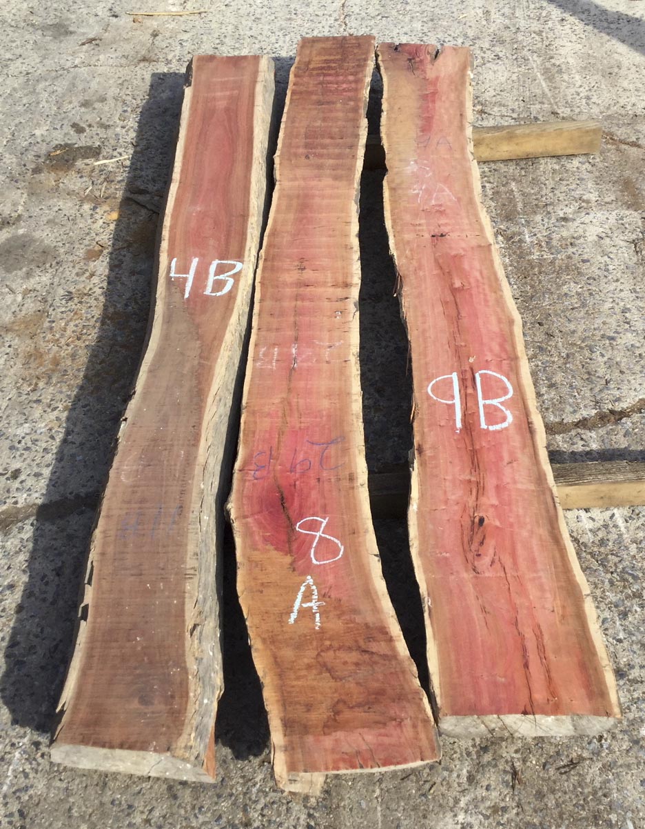 pale ivory digital pink