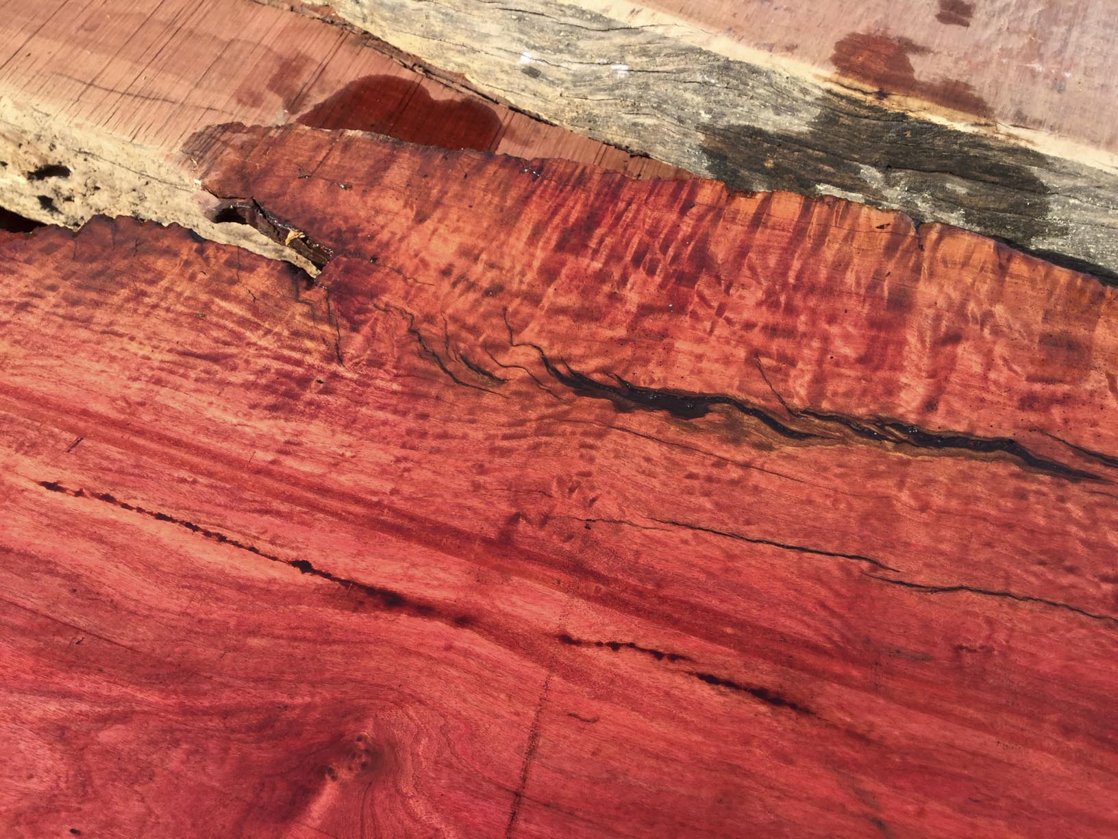 pale ivory digital pink