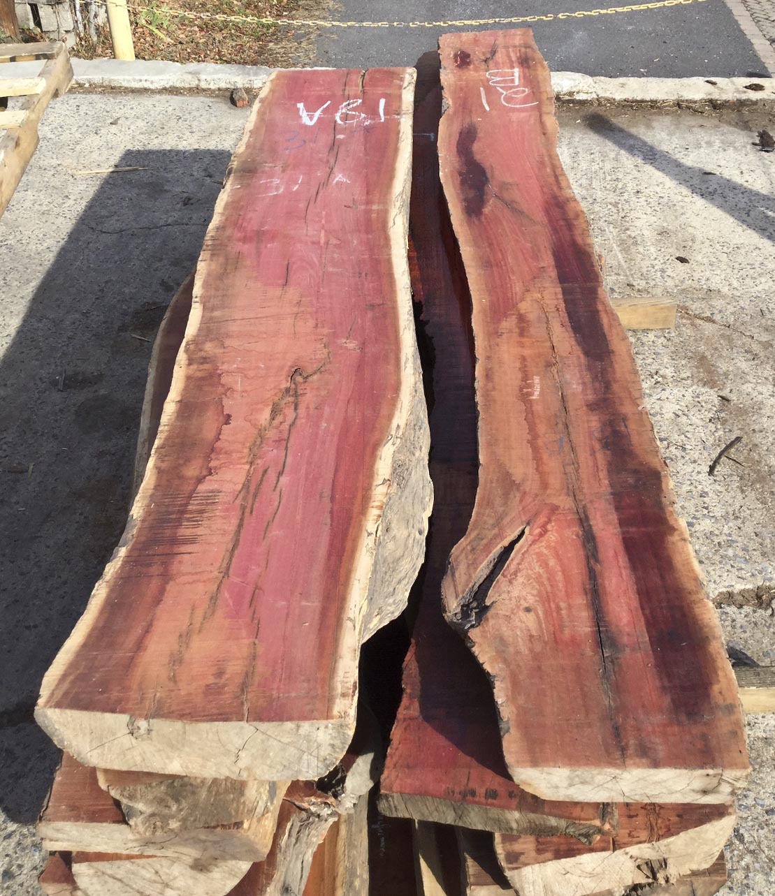 pale ivory digital pink