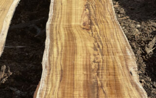 Splitting Koa logs for future quartered, veneer, and guitar stock at Hearne Hardwoods Inc.