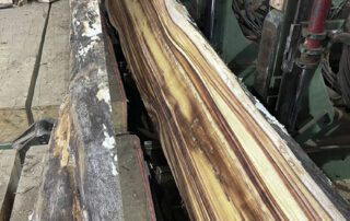 Splitting Koa logs for future quartered, veneer, and guitar stock at Hearne Hardwoods Inc.