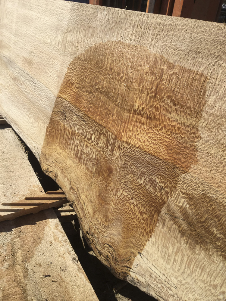 American Sycamore Lumber Hearne Hardwoods