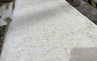 Quilted Maple wood at Hearne Hardwoods Inc.