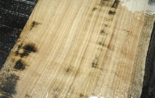 Butternut wood sample pictures