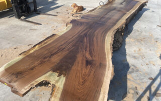 Our “trial, larger than normal, Walnut". This log averaged 40-48” wide by 19 feet - The crotch end spans out to more than 70”. ~ Hearne Hardwoods Inc.