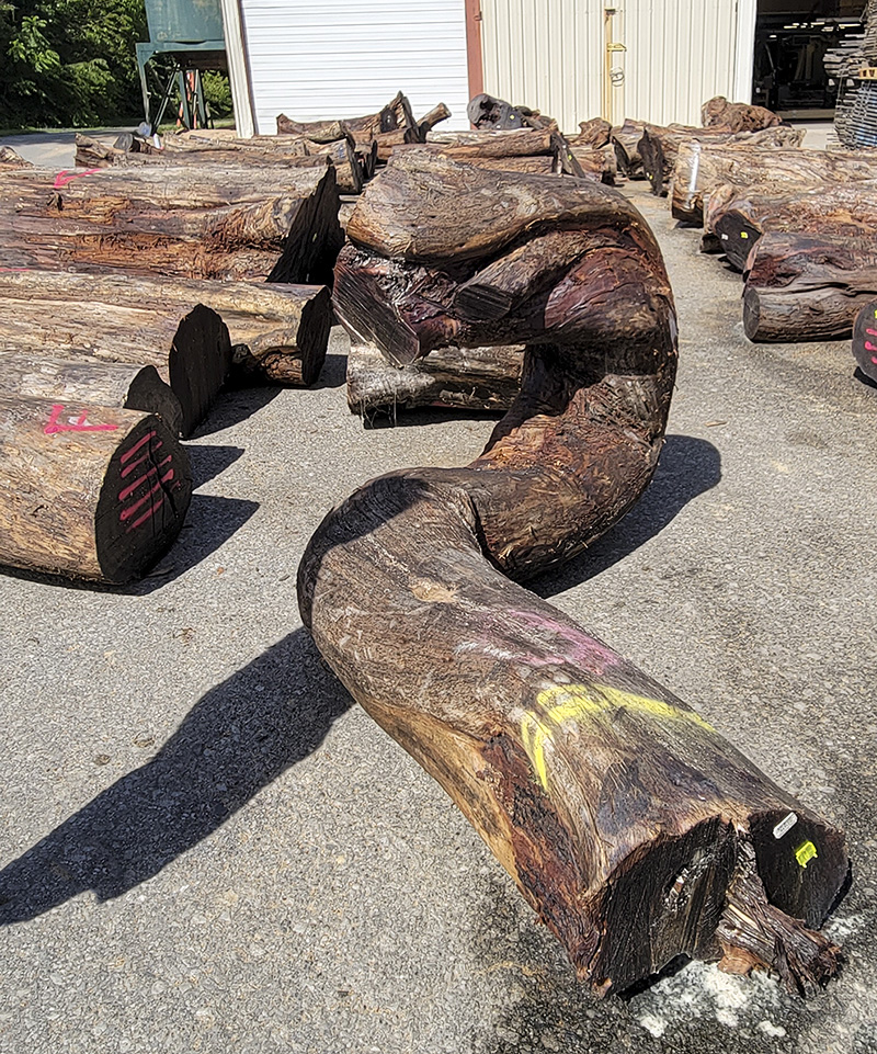 A new shipment of Koa logs has arrived at Hearne Hardwoods Inc.
