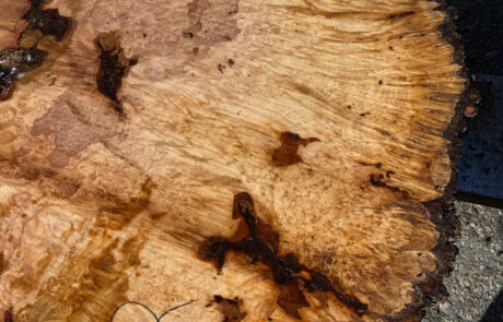 Buy Big Leaf Maple Wood at Hearne Hardwoods Inc.