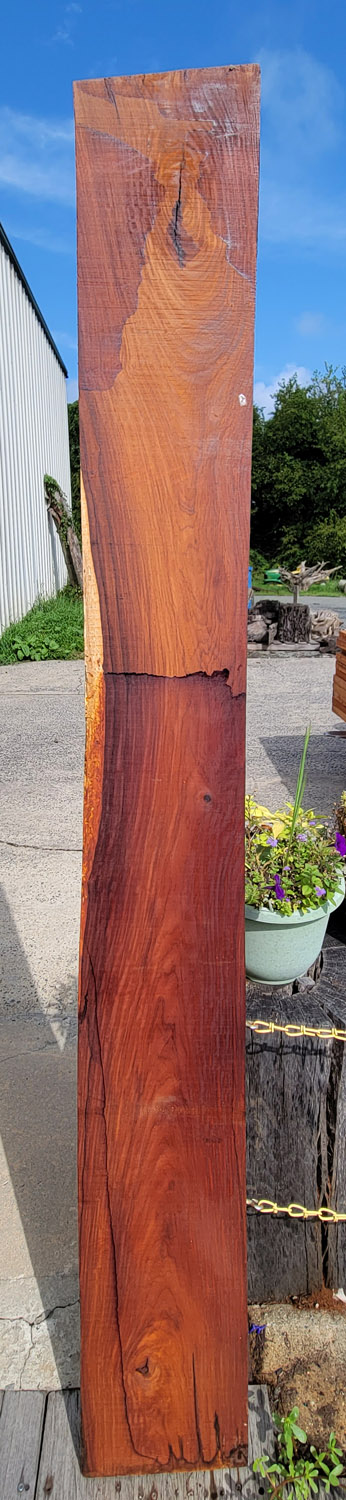 cocobolo 5 Win this Cocobolo Board at the 2021 Hearne Hardwoods Open House