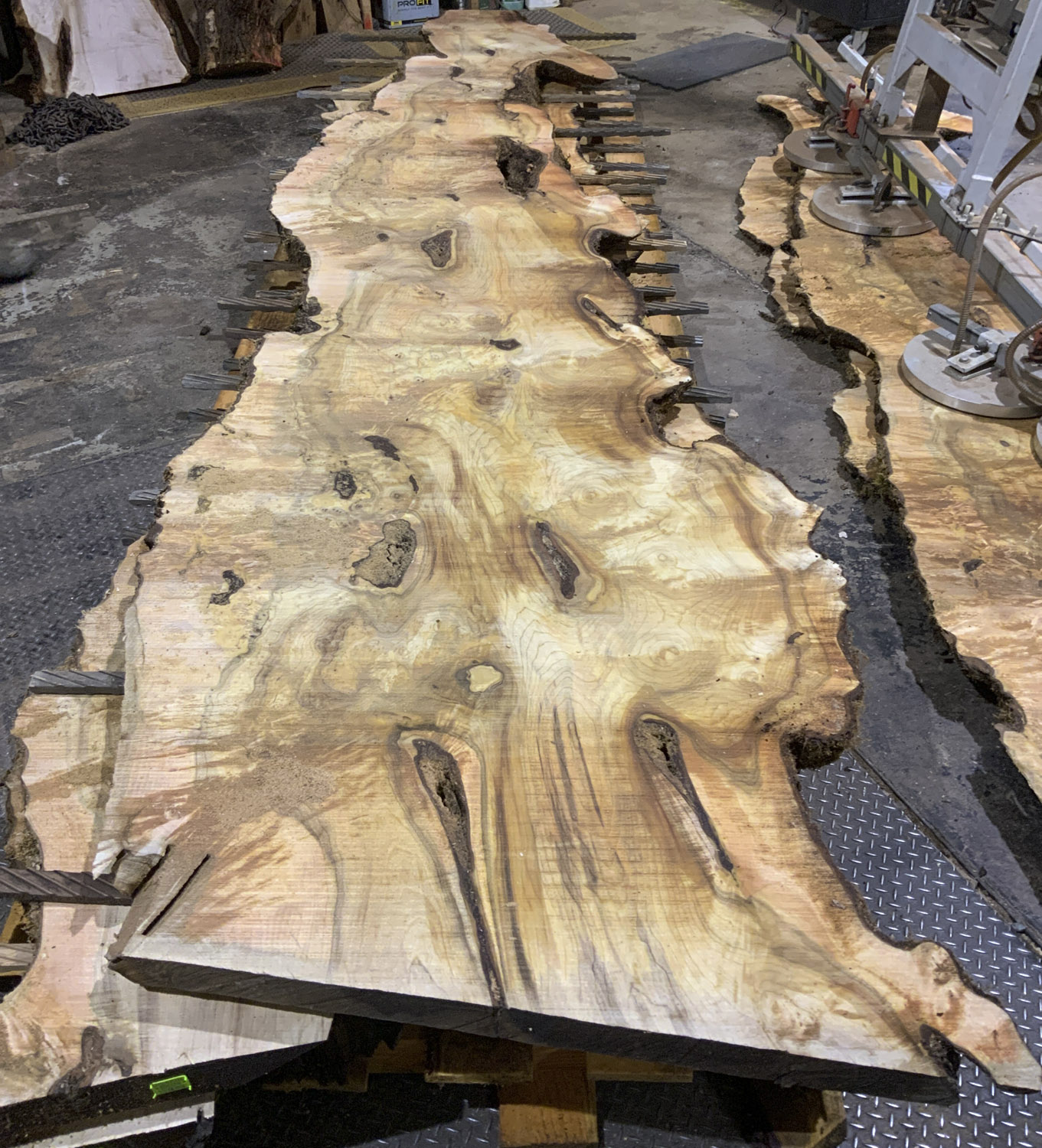 Buy Figured American Myrtle slabs at Hearne Hardwoods Inc.