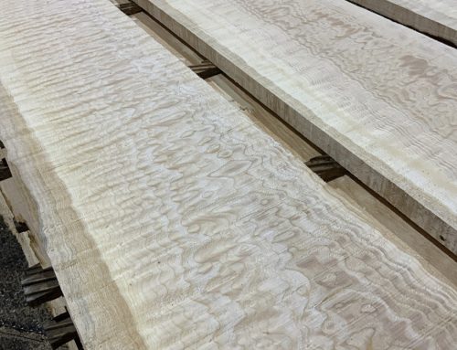 Sawing Big Leaf Maple Lumber – Quilted & Curly