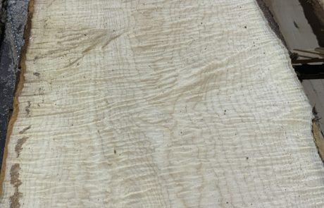 Buy Curly Maple at Hearne Hardwoods Inc.