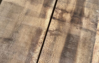 Buy American Sycamore at Hearne Hardwoods Inc.