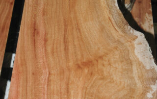 Buy American Sycamore at Hearne Hardwoods Inc.