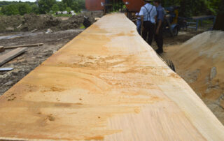 Buy Jatoba / Brazilian Cherry wood at Hearne Hardwoods Inc.