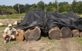 Buy Port Orford Cedar Wood at Hearne Hardwoods Inc.