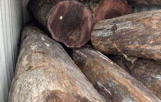 Buy Tasmanian Blackwood at Hearne Hardwoods Inc.
