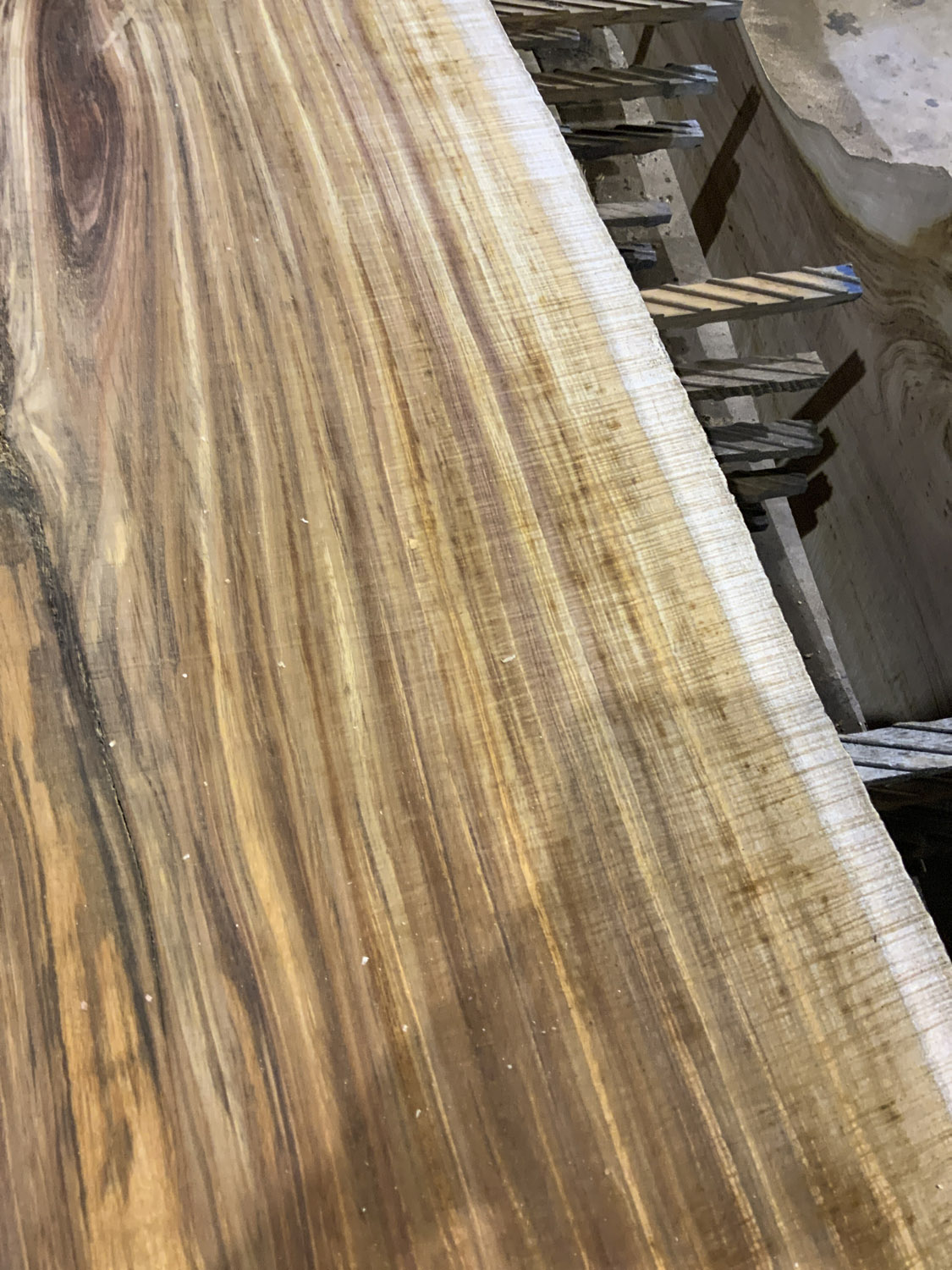 Some pretty things have passed through the sawmill this past month- Black Walnut, Big Leaf Maple, Tasmanian Blackwood, Eucalyptus.... Please keep in mind that this material is green/ drying