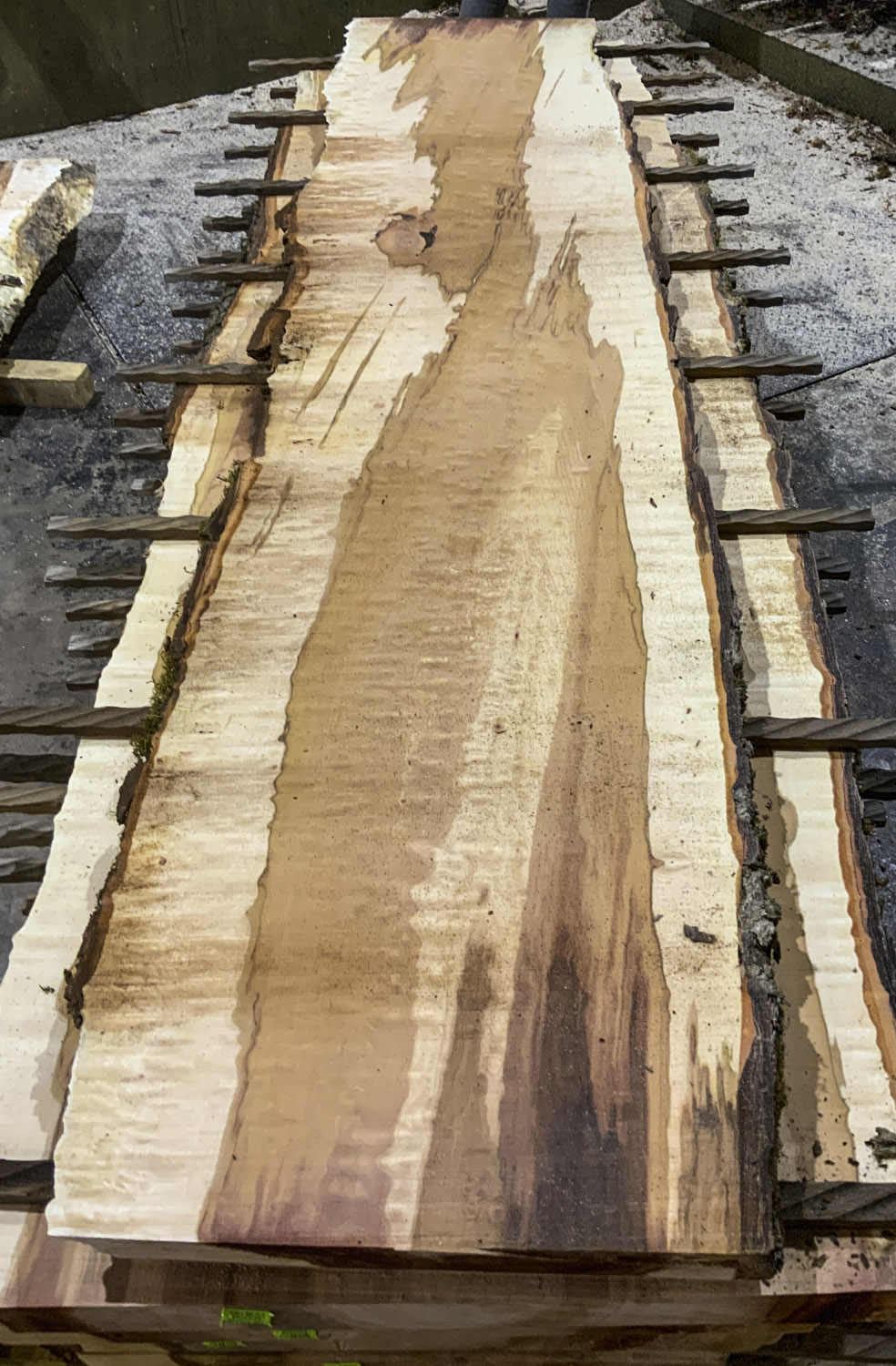 Heartwood in Maple is considered "undesirable" by many... but check out these amazing slabs we cut this week - the contrast between the heart and sap is so wild it almost looks like paint.