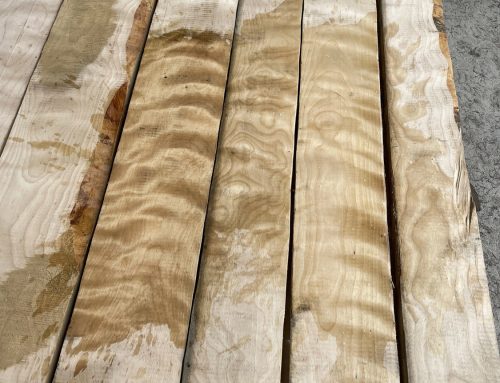 Let Us “Light Your Fire” With Our Newest Arrival – 5/4 Flame Yellow Birch: