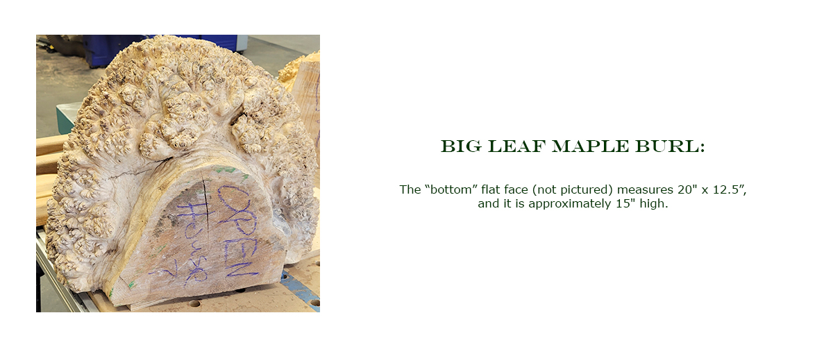 Win this Big Leaf Maple Burl at the 2022 Hearne Hardwoods Open House