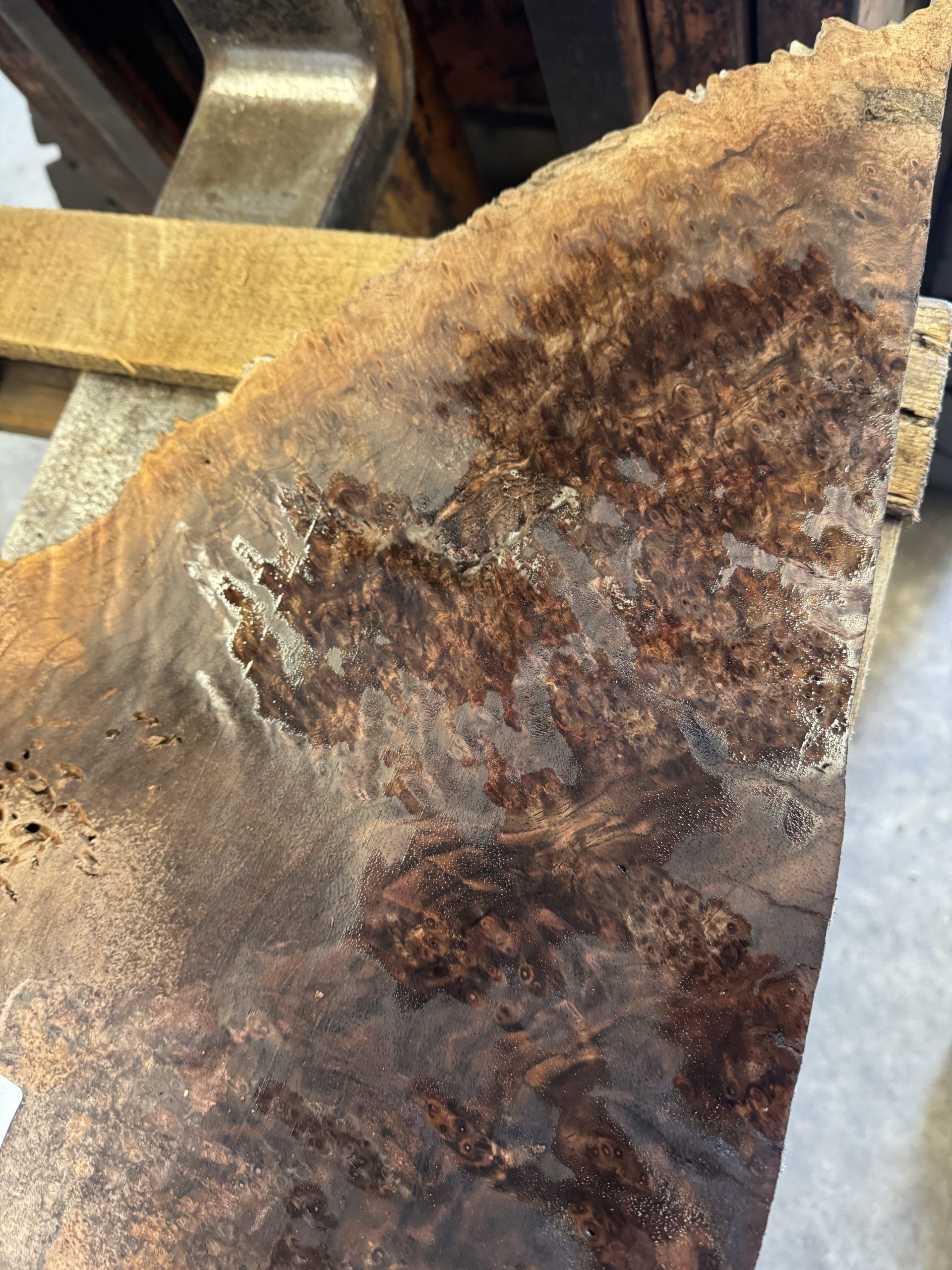 Claro walnut burl-1