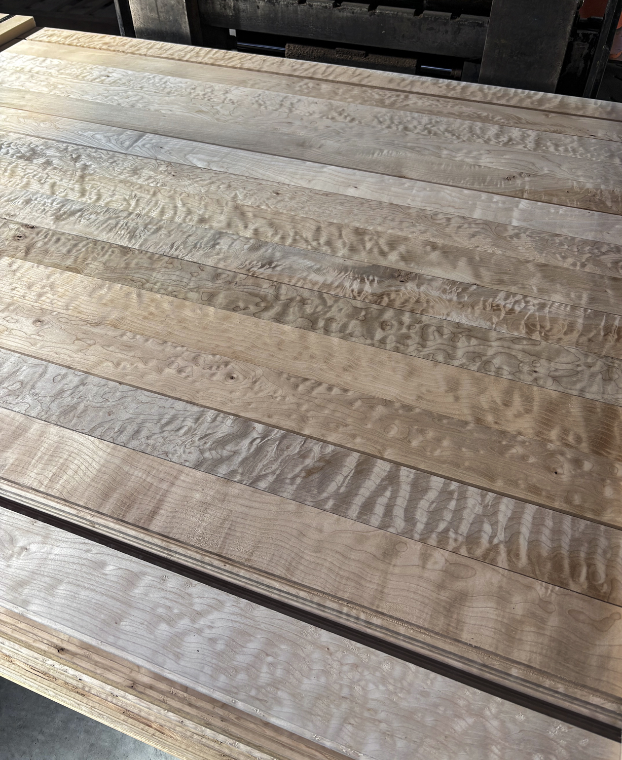 Figured Maple Flooring